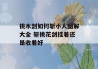 桃木剑如何斩小人图解大全 斩桃花剑挂着还是收着好