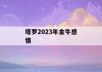 塔罗2023年金牛感情(2021年金牛女爱情塔罗)