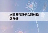 水瓶男和双子女配对指数分析(水瓶男跟双子女的星座配对)