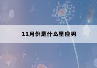 11月份是什么星座男(11月份是什么星座男婚姻怎么样?)