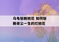 乌龟斩断桃花 如何斩断老公一生的烂桃花