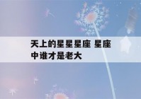 天上的星星星座 星座中谁才是老大