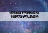 情降挽回不可调和墓地（情降真的可以挽回吗）