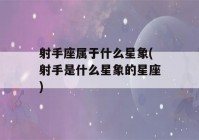 射手座属于什么星象(射手是什么星象的星座)