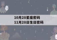 10月28星座密码 11月28日生日密码