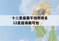 十二星座最不怕死排名 12星座谁最可怕