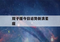 双子座今日运势新浪星座(双子座今日运势双子座运势)