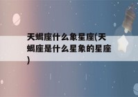 天蝎座什么象星座(天蝎座是什么星象的星座)