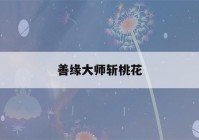 善缘大师斩桃花