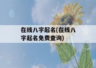 在线八字起名(在线八字起名免费查询)