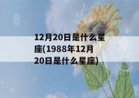 12月20日是什么星座(1988年12月20日是什么星座)