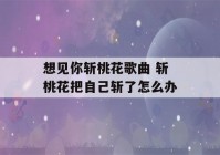 想见你斩桃花歌曲 斩桃花把自己斩了怎么办