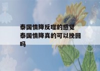 泰国情降反噬的感觉 泰国情降真的可以挽回吗