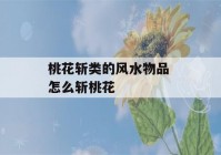 桃花斩类的风水物品 怎么斩桃花