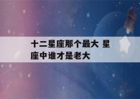 十二星座那个最大 星座中谁才是老大