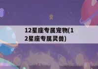 12星座专属宠物(12星座专属灵兽)