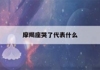 摩羯座哭了代表什么(摩羯座是12星座之王吗)