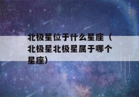 北极星位于什么星座（北极星北极星属于哪个星座）