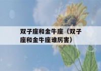 双子座和金牛座（双子座和金牛座谁厉害）