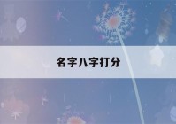 名字八字打分