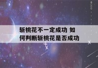 斩桃花不一定成功 如何判断斩桃花是否成功