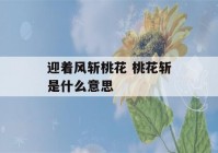 迎着风斩桃花 桃花斩是什么意思