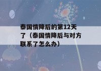 泰国情降后的第12天了（泰国情降后与对方联系了怎么办）