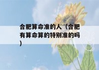 合肥看八字准的人（合肥有看八字算的特别准的吗）