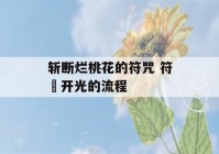 斩断烂桃花的符咒 符箓开光的流程