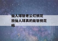 仙人球斩老公烂桃花 放仙人球真的能斩桃花吗