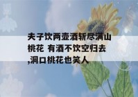 夫子饮两壶酒斩尽满山桃花 有酒不饮空归去,洞口桃花也笑人