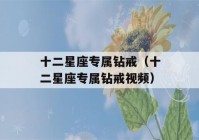 十二星座专属钻戒（十二星座专属钻戒视频）