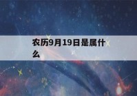 农历9月19日是属什么(2023年九月初九适合结婚吗)