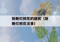 斩断烂桃花的骚扰（斩断烂桃花法事）