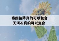 泰国情降真的可以复合 天河石真的可以复合