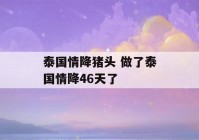 泰国情降猪头 做了泰国情降46天了