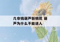 几帝钱葫芦斩桃花 葫芦为什么不能送人