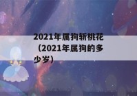 2021年属狗斩桃花（2021年属狗的多少岁）