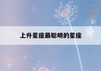 上升星座最聪明的星座(上升什么星座最聪明)