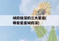 城府极深的三大星座(哪些星座城府深)