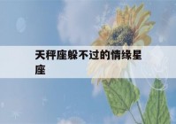 天秤座躲不过的情缘星座(天秤座爱上谁最难放弃)