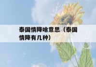 泰国情降啥意思（泰国情降有几种）