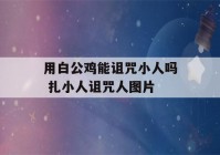 用白公鸡能诅咒小人吗 扎小人诅咒人图片