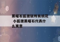 黑曜石狐狸斩所有桃花 小狐狸黑曜石代表什么寓意