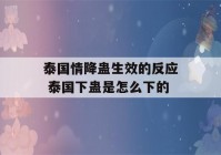 泰国情降蛊生效的反应 泰国下蛊是怎么下的