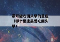 最可能吃回头草的星座（哪个星座最爱吃回头草）