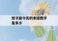 双子座今天的幸运数字是多少(双子座的幸运运数字是几)