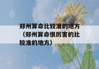 郑州看八字比较准的地方（郑州看八字很厉害的比较准的地方）