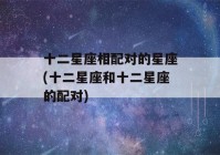 十二星座相配对的星座(十二星座和十二星座的配对)