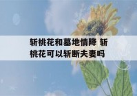 斩桃花和墓地情降 斩桃花可以斩断夫妻吗